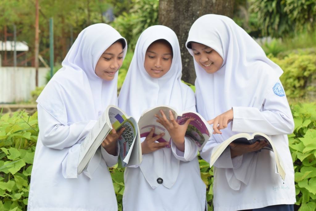Konsep Umum Tentang Madrasah Diniyah ( oleh AI )
